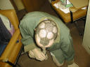 soccer_head.jpeg